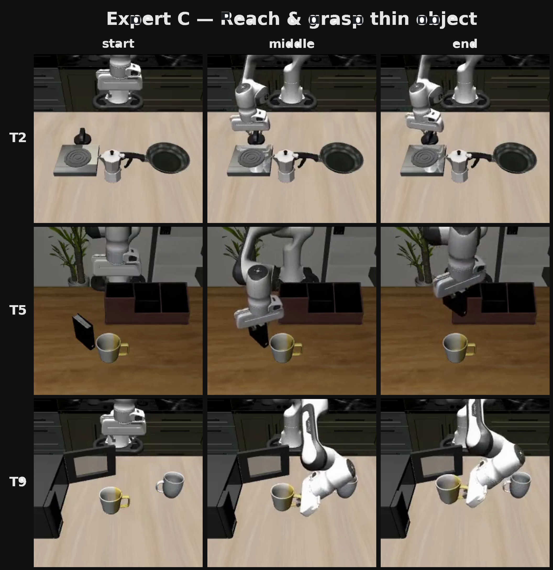 Expert C approaches and grasps thin handled items